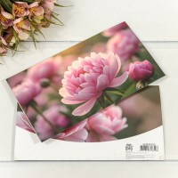 Конверт подарочный 16,5*9см 423 1/10 1/250 Арт: 003004/423