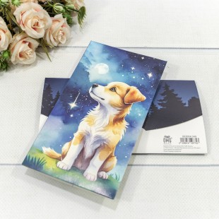 Конверт подарочный 16,5*9см 349 1/10 1/250 Арт: 003004/349