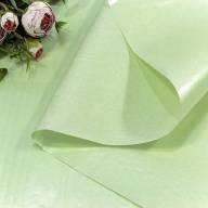 Бумага в листах "Тишью" Водостойкая 50*70 (20 шт.) 38г Светло-салатовый 1/60 Арт: 0001102/30 - Бумага в листах "Тишью" Водостойкая 50*70 (20 шт.) 38г Светло-салатовый 1/60 Арт: 0001102/30