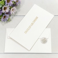 Конверт подарочный 16,9*9,4см 1209 1/10 1/250 Арт: 003012/9