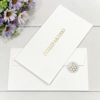 Конверт подарочный 16,9*9,4см 1309 1/10 1/250 Арт: 003013/9