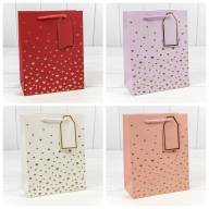 Пакет подарочный с тиснением "Сердечки" (микс 1) 18*23*10 210г 1/20 1/360 Арт: 000880E - Пакет подарочный с тиснением "Сердечки" (микс 1) 18*23*10 210г 1/20 1/360 Арт: 000880E