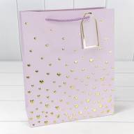 Пакет подарочный с тиснением "Сердечки" (микс 1) 26*32*12 210г 1/20 1/240 Арт: 000880C - Пакет подарочный с тиснением "Сердечки" (микс 1) 26*32*12 210г 1/20 1/240 Арт: 000880C