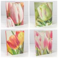 Пакет подарочный с блёстками "Тюльпаны" (микс 256) 30*41,5*12 210г 1/20 1/80 Арт: 000256A - Пакет подарочный с блёстками "Тюльпаны" (микс 256) 30*41,5*12 210г 1/20 1/80 Арт: 000256A