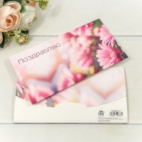 Конверт подарочный 16,5*9см 317 1/10 1/250 Арт: 003004/317