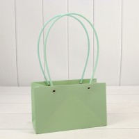 Пакет подарочный "Ваза для цветов" 22*13,5*10,5 Бледно-зелёный 1/10 1/120 Арт: 000170EA/559