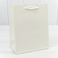 Пакет подарочный Крафт "Люкс" 18*23*10 210г Белый 1/10 1/360 Арт: 000221E/9