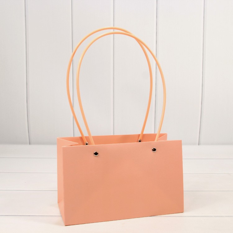 Пакет подарочный "Ваза для цветов" 22*13,5*10,5 Бежево-красный 1/10 1/120 Арт: 000170EA/4033