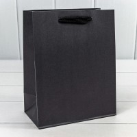 Пакет подарочный Крафт "Люкс" 18*23*10 210г Чёрный 1/10 1/360 Арт: 000221E/11