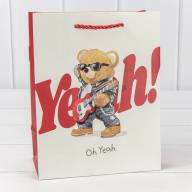 Пакет подарочный с тиснением "Мишки" (микс 109) 18*23*10 210г 1/20 1/360 Арт: 000109E - Пакет подарочный с тиснением "Мишки" (микс 109) 18*23*10 210г 1/20 1/360 Арт: 000109E